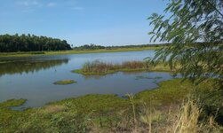 IMAG0305.jpg IMAG0305.jpg