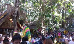 IMAG0293.jpg IMAG0293.jpg