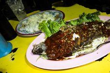 DSC07736.jpg