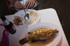 DSC07799.jpg
