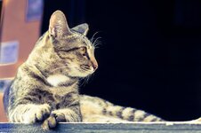 IMG_2786.jpg