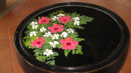 IMG_1019.JPG IMG_1019.JPG