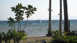 IMG_1034.JPG IMG_1034.JPG