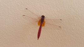 20170315_093737.jpg