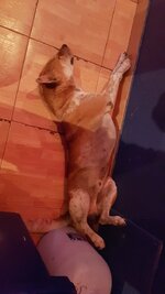20170401_204241.jpg
