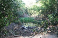 k800_img_9307.jpg