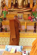 k800_img_9388.jpg