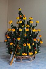 k800_img_9461.jpg