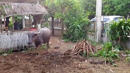 20161109_165933.jpg