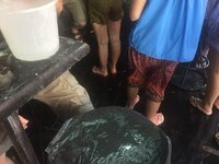 IMG_3203.JPG