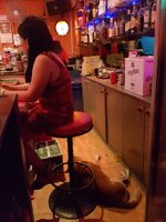 20170409_232730.jpg