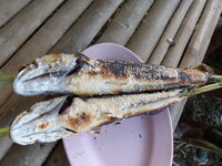 P1030457.JPG