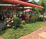 IMG_6158.JPG