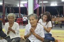 29081735yy.jpg