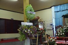 29081737ot.jpg