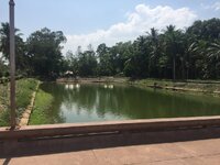 IMG_3286.JPG
