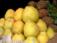 29274504fj.jpg