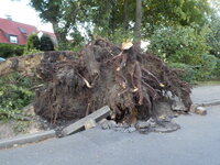 DSCN1502_Bildgroesse_aendern.JPG
