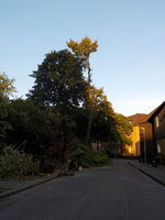 DSCN1504_Bildgroesse_aendern.JPG