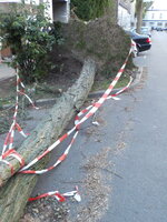DSCN1507_Bildgroesse_aendern.JPG