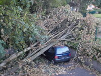 DSCN1513_Bildgroesse_aendern.JPG