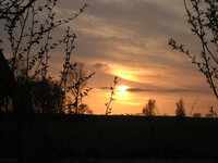 Ostfris_2008_1.jpg