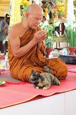 k800_img_9428.jpg