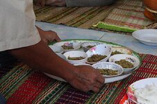 k800_img_9471.jpg