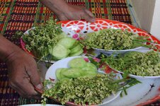 k800_img_9475.jpg