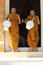 k800_img_9531.jpg