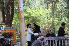 k800_img_9604.jpg