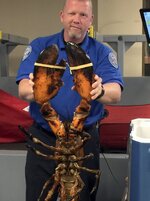 image-1158732-860_galleryfree-dcmm-1158732.jpg image-1158732-860_galleryfree-dcmm-1158732.jpg