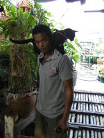 BILD0866.JPG