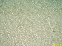 siargao_strand__06.jpg