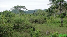 ansichten_siargao_1.jpg ansichten_siargao_1.jpg