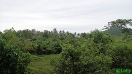 ansichten_siargao_2.jpg ansichten_siargao_2.jpg