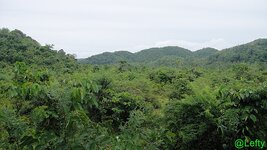 ansichten_siargao_3.jpg ansichten_siargao_3.jpg