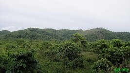 ansichten_siargao_4.jpg ansichten_siargao_4.jpg
