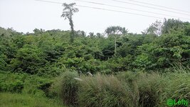 ansichten_siargao_7.jpg ansichten_siargao_7.jpg