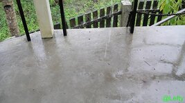 regen_in_buddha_2.jpg regen_in_buddha_2.jpg