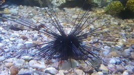 20170706_131940.jpg