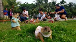 20170716_182826.jpg