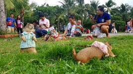 20170716_182829.jpg