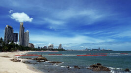 DSC00703a.jpg