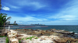DSC00708a.jpg