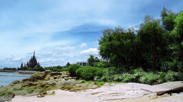 DSC00754a.jpg