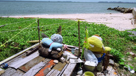 DSC00758a.jpg