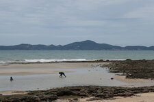 P1000072.JPG