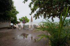 30040813pa.jpg 30040813pa.jpg