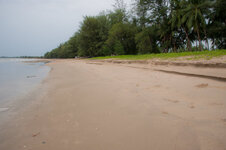 30040821wl.jpg 30040821wl.jpg